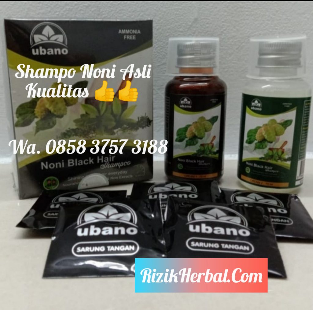 Shampo noni asli original ciri asli dan palsu suplayer Indonesia penghitam rambut Black hair magic Ubano Sampo noni asli not BSY