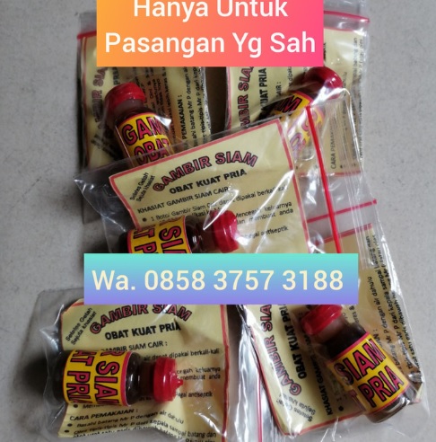 Jual Gambir Siam Asli di Pekanbaru