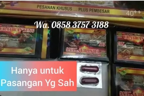 Jual obat kuat pekanbaru black king urban c80
