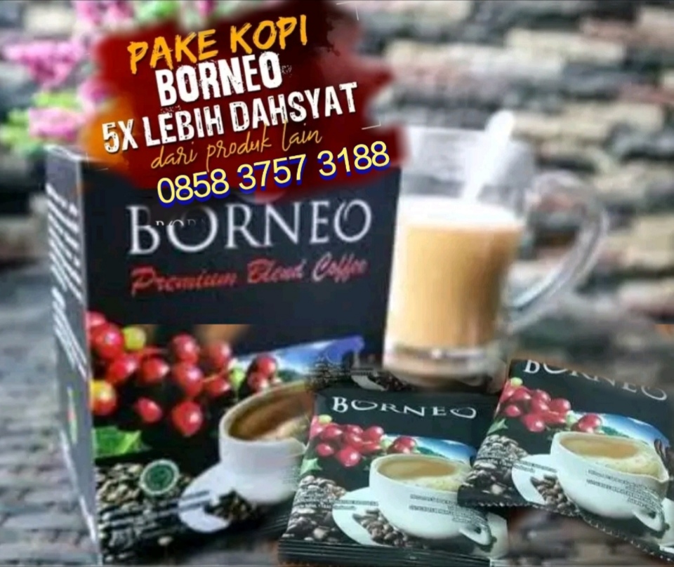 JUAL KOPI BORNEO diPEKANBARU KOPI DARAT PEKANBARU DUMAI DURI KERINCI - MEI2024 - NEW Produk RIZIK - JOST!!! ™