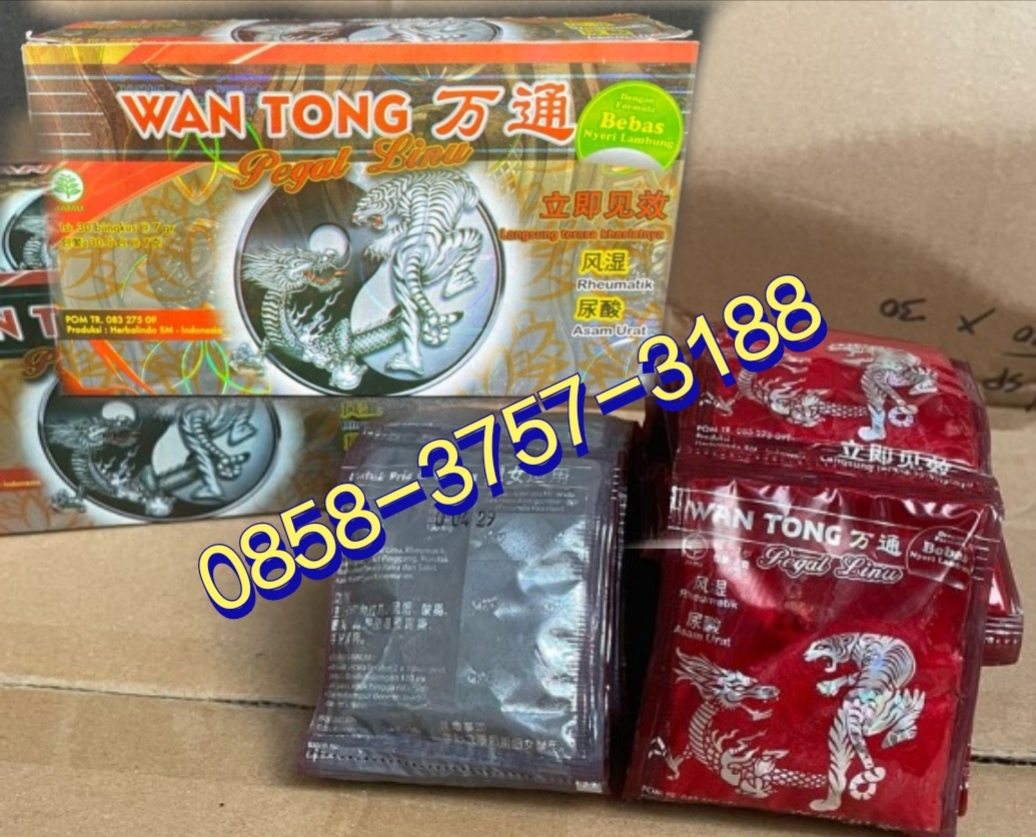 PEKANBARU Jual WAN TONG KAPSUL, Mengobati Asam Urat, Rematik, Kesemutan & Pegal Linu di PEKANBARU